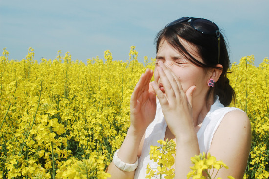 local-honey-for-allergies